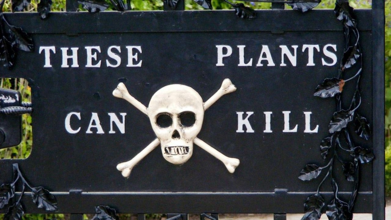 Il Giardino Pubblico Dove le Piante Possono Uccidere