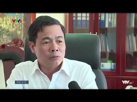 PHÓNG SỰ VTV: TRƯỜNG ĐẠI HỌC Y DƯỢC THÁI BÌNH - 50 NĂM XÂY DỰNG VÀ PHÁT TRIỂN - youtube