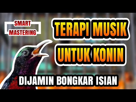 AMPUH UNTUK SEMUA BURUNG MACET BUNYI, TERAPI AIR UNTUK SEMUA JENIS BURUNG MACET BUNYI