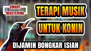 Terapi Musik Untuk Konin | Pancingan Konin Gacor - Dijamin Langsung Buka Paruh | Bongkar Isian