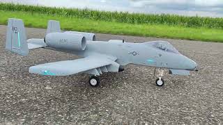 A-10 Freewing V2 with sound modul.