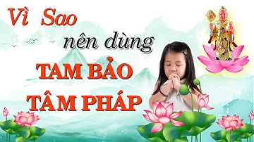 Vì Sao Nên Sử Dụng Tam Bảo Tâm Pháp - Tế Công Hoạt Phật Từ Huấn