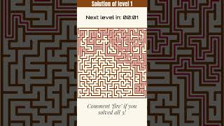 Can You Solve 3 Hard Maze Puzzles in 90 Seconds? 🧠🕹️