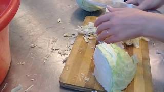 Салат из капусты Салат из капусты