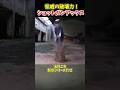 脅威の破壊力⁉︎「ショットガンアックス」 #ゆっくり解説 #ゆっくりショート #海外ニキ