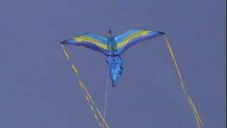 52 in. Macaw Parrot Kite By XKites
