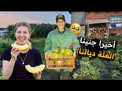How We Prepared the Farm for Siberian Cold ❄️ Harvesting Melons and Storing Firewood 😍