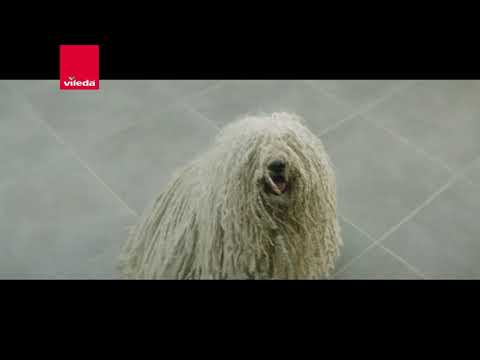 vileda mop dog