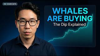 Why Are Bitcoin Whales Buying The Dip? On-Chain Data Explained | Kenzo Finance