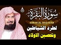 سورة البقرة الشيخ عبد الرحمن السديس القران الكريم مباشر Surat Al Baqarah Quran Recitation 
