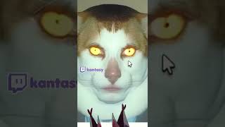 Roblox Autism Test gone WRONG #vtuber #kantasy #jumpscsre