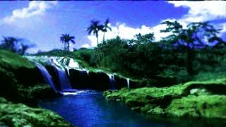 The Lazy Eyes - The Seaside (Subtítulos en español) ||Lyrics||