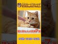 猫が好む人の特徴7選 #Shorts