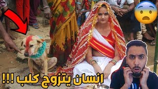 أقوى صدمه في تاريخ البشريه/انسان يتزوج من كلب!!!