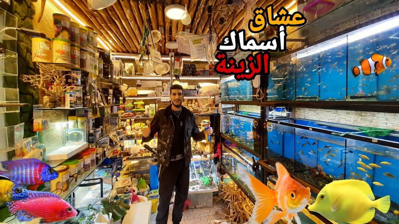 زيارة عند يوسف🐠بيع أسماك الزينة أحواض جميع لوازم الأسماك+معلومات لتربية ناجحة #سوق_القريعة