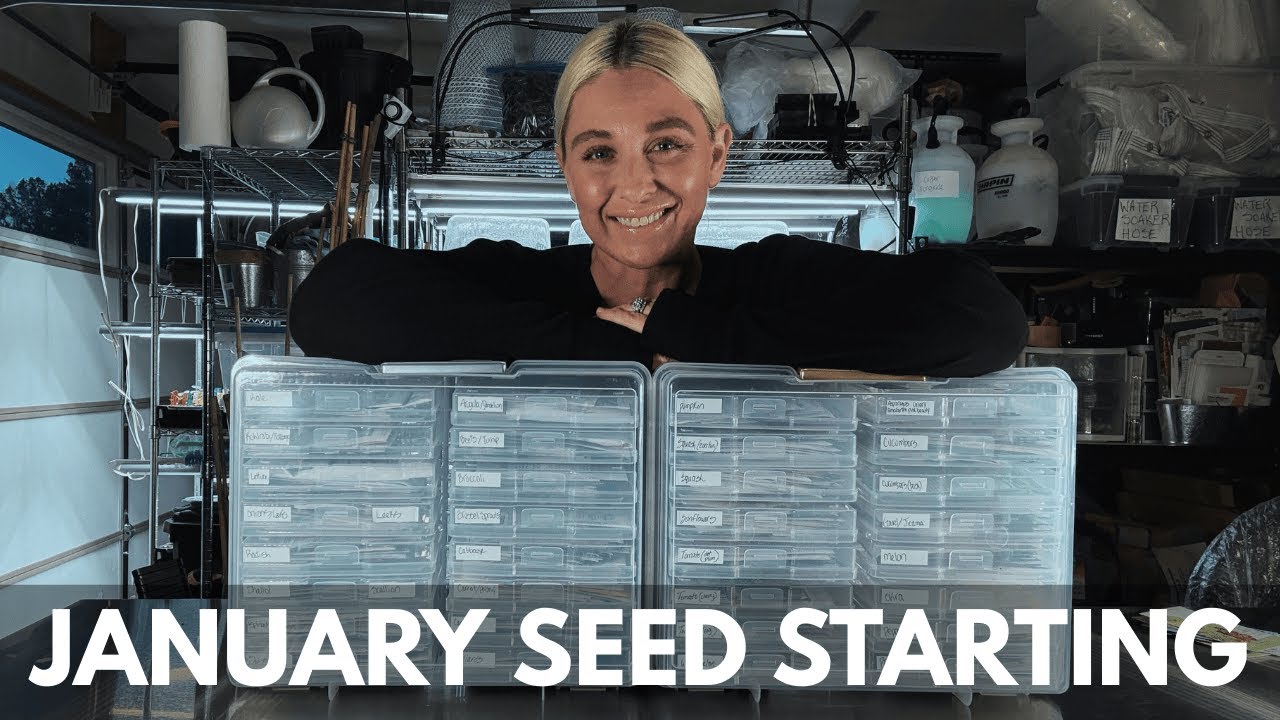 Seed Starting | January 2026 (NEW Varieties & Favorites!)