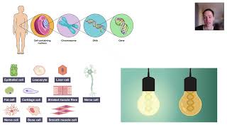 Gene expression