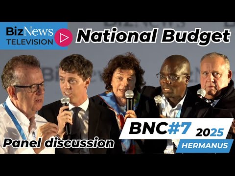 BNC#7: Budget Panel - Burke; Bernstein; Mashele; and Heystek on Treasury's controversial budget