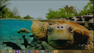 Tips for building a Windows Store app using XAML and C# The Kona project