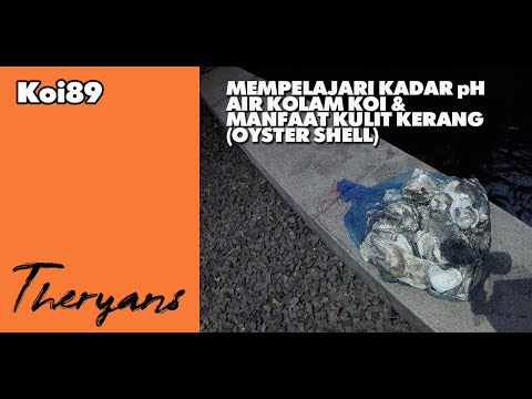 Video: Apakah yang anda gunakan untuk menstabilkan kolam?