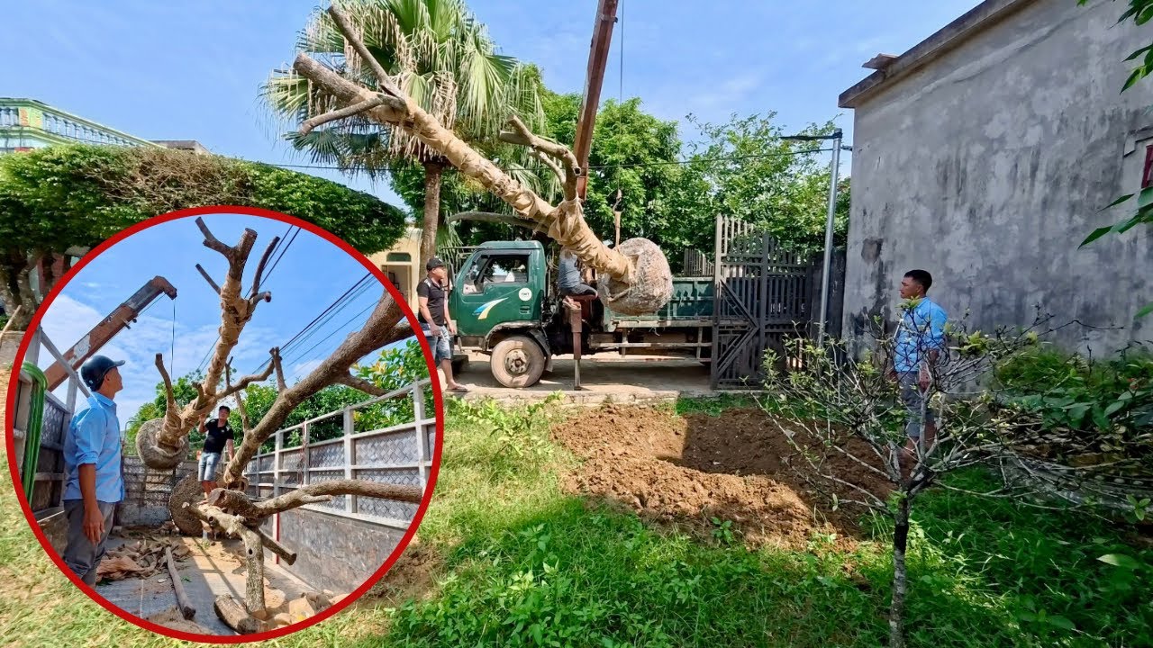 Góc Nhỏ Nơi Mình Đang Sống | Đoạn Video Ngắn Sau Hơn Nửa Năm Không Hoạt Động Lại Kênh Này | HUY ANH