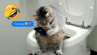 Funniest Animals 2023 😂 Funniest Cats and Dogs 😺🐶 Part 6