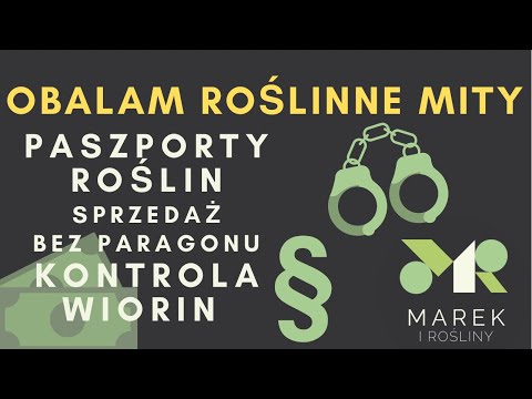 Wideo: Czy Można Zmienić Paszport Poza Miejscem Rejestracji?