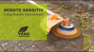 Reinige Verwachsene Pflaster Einfach Ohne Chemie