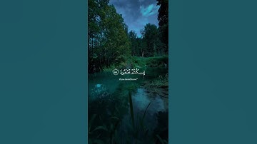 #اكسبلور #راحة_نفسية #قران #لايك_للمقطع_حتى_تساهم_فى_نشرة سورة المؤمنون الشيخ ياسر الدوسري ❤️✨