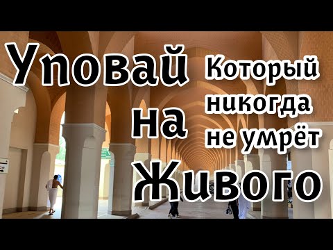 Уповай на Живого, который никогда не умрёт!