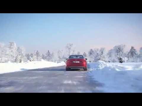 full 3d environment /CPU software render test