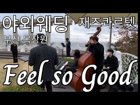 Feel so good - Chuck Mangione Jazz Quartet 재즈콰르텟 필소굿 부산 목장원 야외웨딩