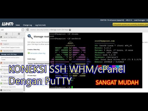 Koneksi SSH WHM/cPanel