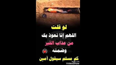 القارئ محمد حسن القاضي