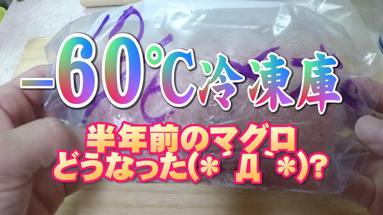 マイナス60度冷凍庫】半年前のキハダマグロを漬け丼にしてみました 