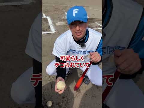 元プロなら投手でもホームラン打てる？