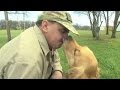 Veterans training service dogs and healing themselves Veterans training service dogs and healing themselves