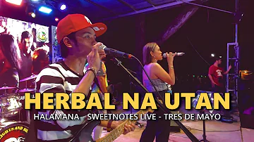 HERBAL NA UTAN - Halamana | Sweetnotes Live @ Sulop