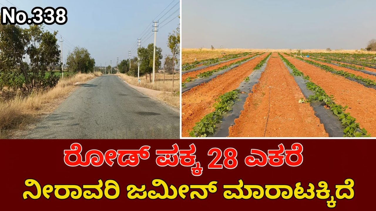 28 Acres Agricultural Land for Sale Near Challakere Taluk, Chitradurga District | Best Investment