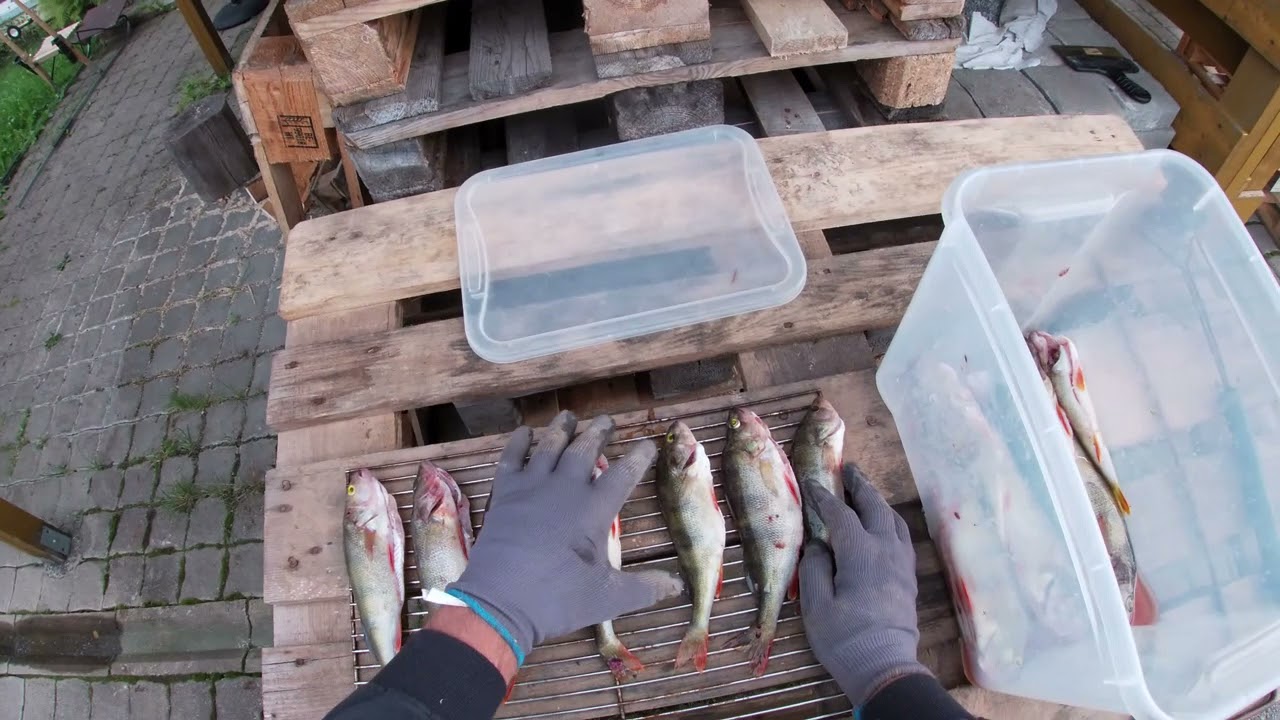 Puhastame ja suitsutame ahvenat