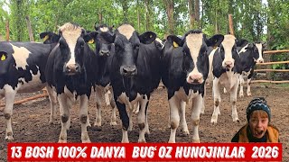 Mana Imkon Danya Hunojin Bugʻozlar Siz Uchun Ma Sha Allah ‼️