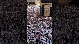 🤲🤲😭#viral #haram #makha #makhavideo 💚https://media.tenor.com/IFTuoR9D5nAAAAAM/makkah-mecca.gif 🤲😥🤲🤲