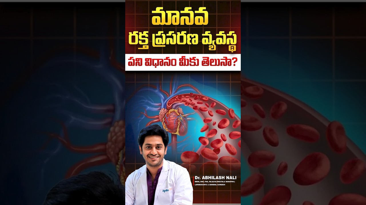 How Blood Circulation Works Inside the Human Body | Dr Abhilash Nali 