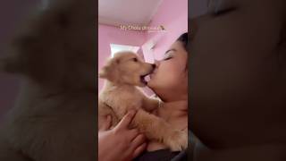 He almost bite me!! Wo baat alag hai ki iske daant nahi the😂🐾#viral #pets #explorepage #fyp #like