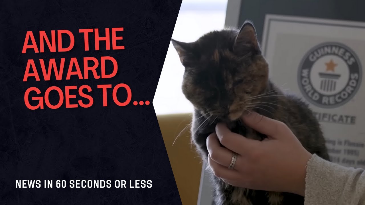 Oldest cat alive wins Guinness world record | News in 60 seconds