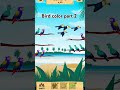 Bird color part 2 #music  #games