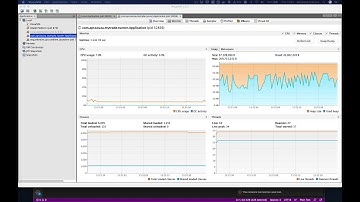 Java for adults - Memory heap - Video 10