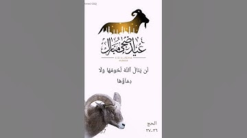 سورة الحج لن ينال الله لحومها ولا دماؤها ولكن يناله التقوى منكم ياسر الدوسري surah Al Hajj AlDosari