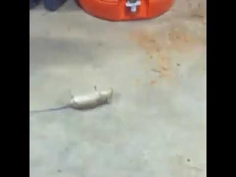 هي الدنيا جرى فيها ايه موقف