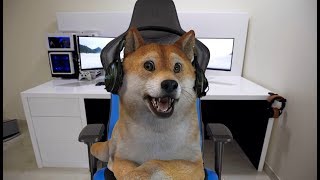 Uvodni Video (Face Reveal)